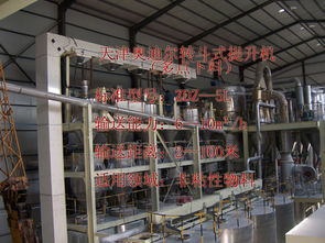 Z型提升機(jī)價(jià)格、廠家、圖片與選購技術(shù)要點(diǎn)解析